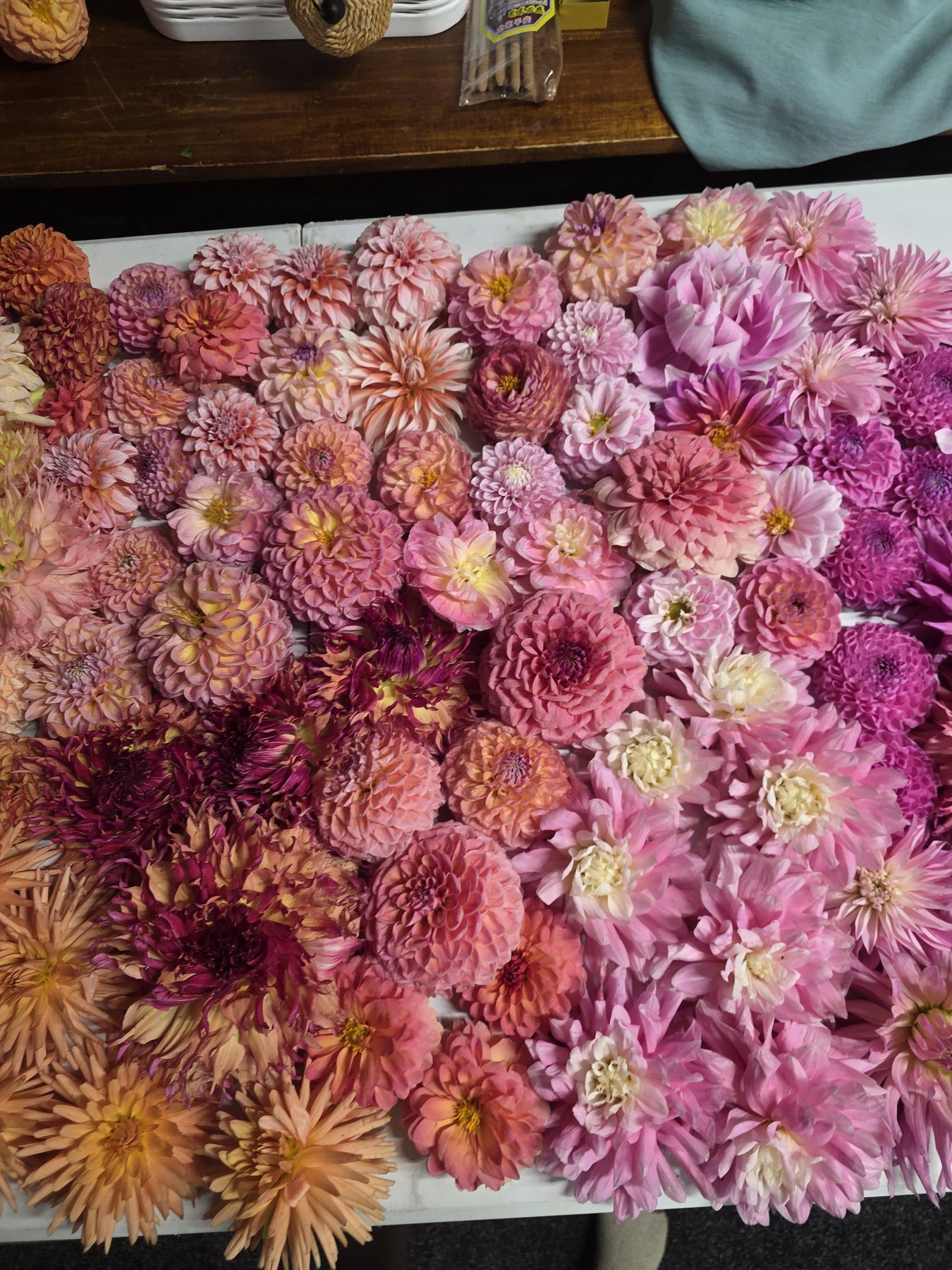 Fresh cut blooms, picked at first light.